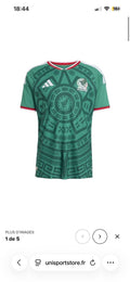 MEXIQUE DOMICILE 2026