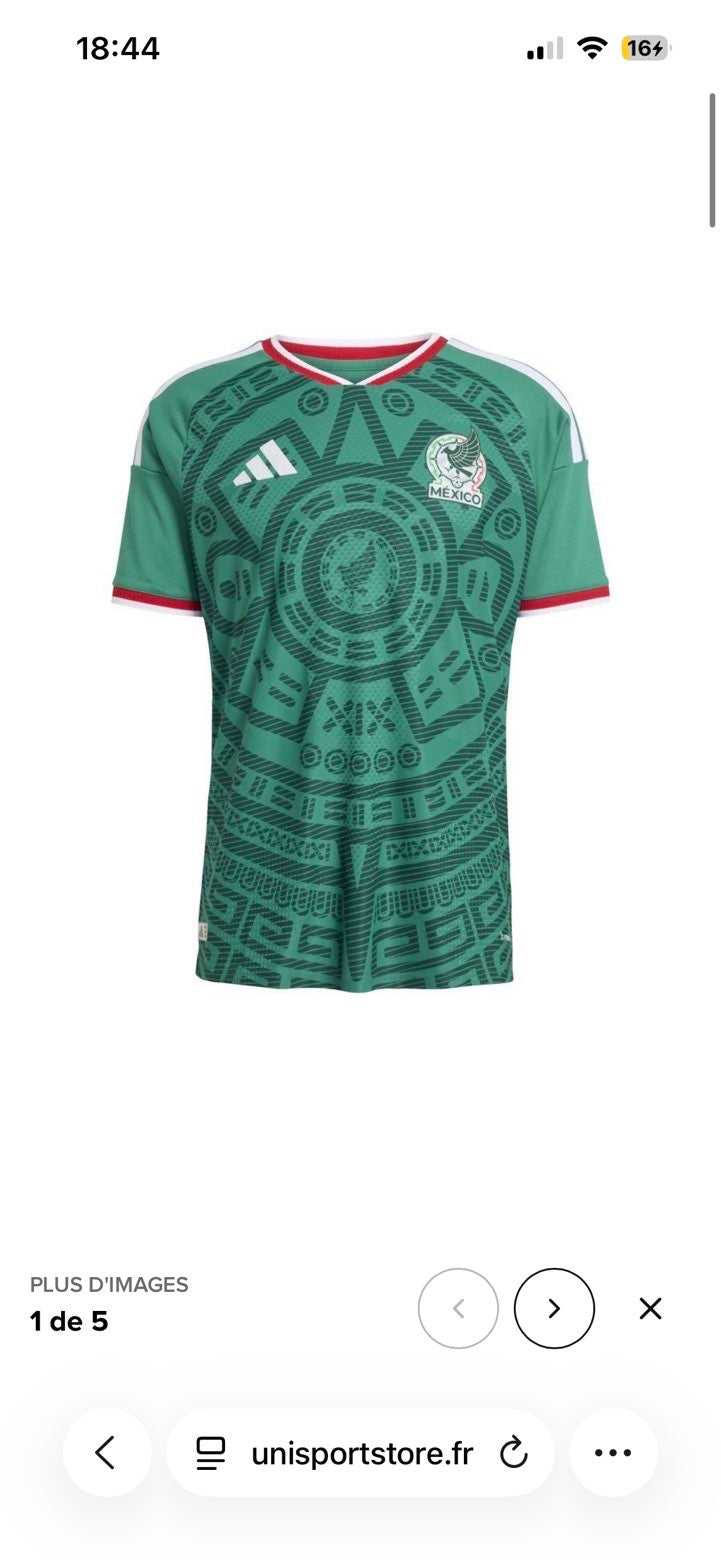 MEXIQUE DOMICILE 2026