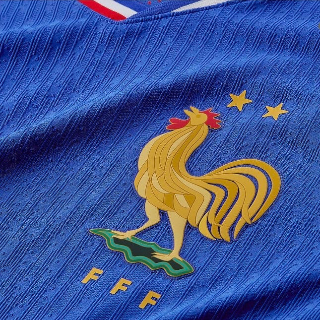 FRANCE DOMICILE 2024/25